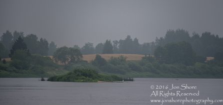 Island in the Daugava River, Latvia