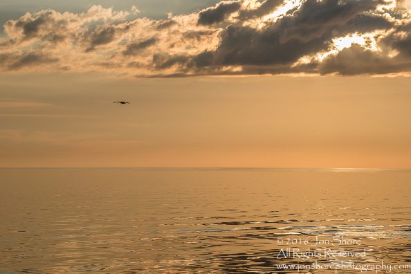 Sunset Tuja, Latvia. Tamron 200m