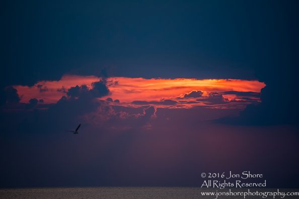 Sunset Tuja, Latvia. Tamron 200m