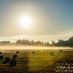 Foggy Field Summer Burtnieks Latvia  2016 150dpi-1102