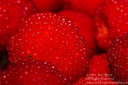Strasberries - Strawberry Raspberry Hybrid Macro Tamron 90mm Macro Lens