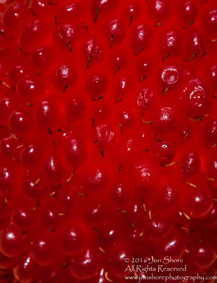 Strasberries - Strawberry Raspberry Hybrid Macro Tamron 90mm Macro Lens