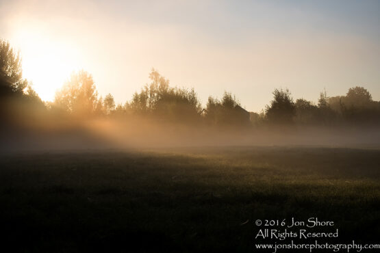 Dawn at a Foggy Field - Summer - Burtnieks, Latvia Tamron 70mm Lens