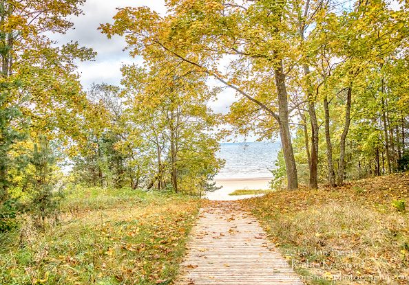 Path to the Beach, Jurmala, Latvia. Nikkor 28mm