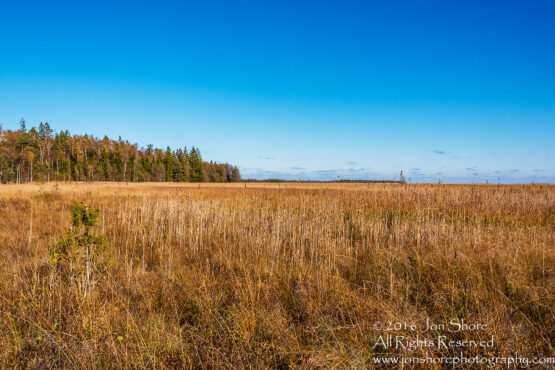 Kemeri National Park, Latvia. Nikkor 28mm
