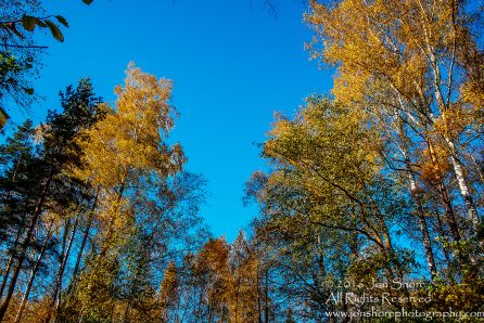 Kemeri National Park, Latvia. Nikkor 28mm
