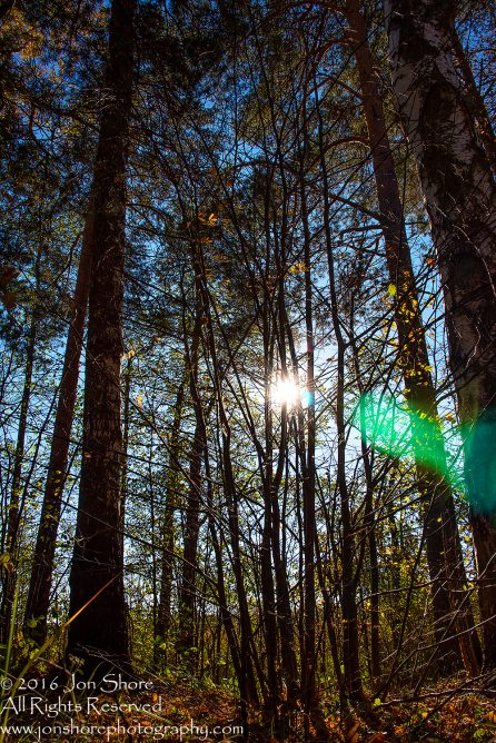 Kemeri National Park, Latvia. Nikkor 28mm