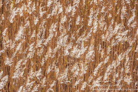 Kemeri National Park, Latvia. Nikkor 28mm