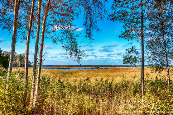 Kemeri National Park, Latvia. Nikkor 28mm