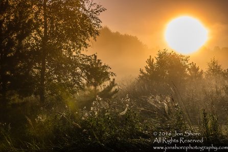 Sunrise on the field. Burtnieki, Latvia. Tamron 70mm