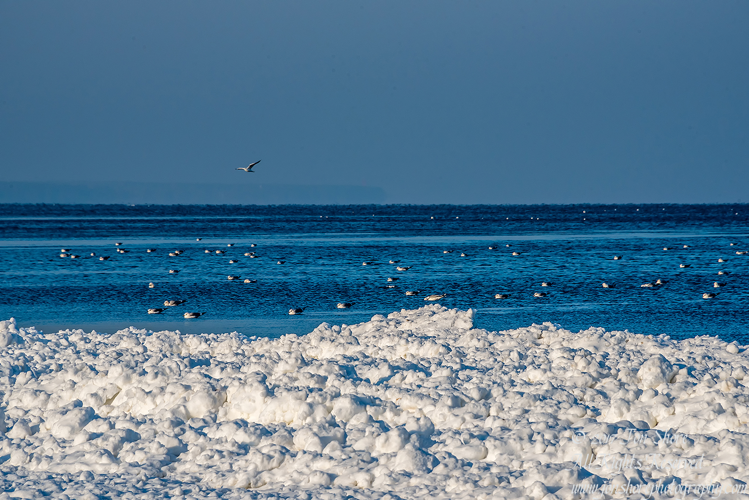Winter at a Frozen Baltic Sea Beach. Nikkor 300mm
