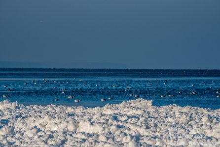 Winter at a Frozen Baltic Sea Beach. Nikkor 300mm