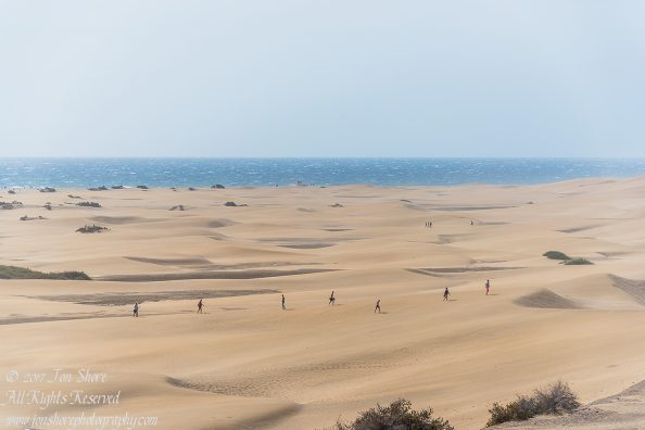 Desert at Maspalomas, Gran Canaria. Nikkor 300mm