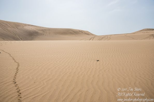 Desert at Maspalomas, Gran Canaria. Nikkor 300mm