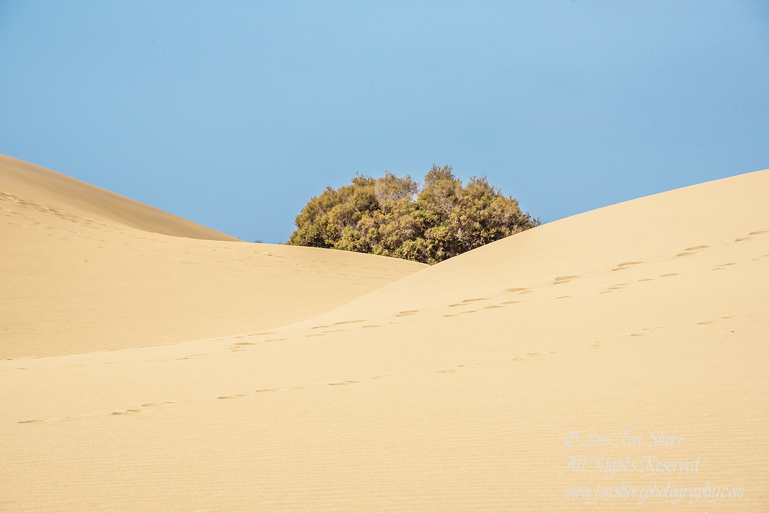 Desert at Maspalomas, Gran Canaria. Nikkor 300mm