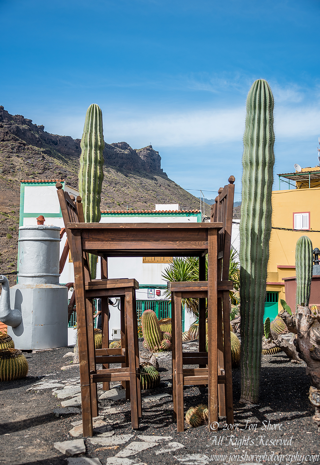 Table in cactus. Mogan, Gran Canaria. 200mm