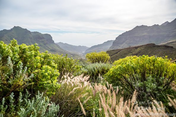 Mountains, Gran Canaria. Nikkor 28mm