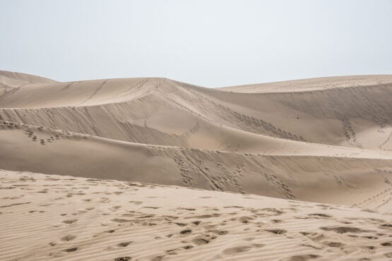 Desert at Maspalomas, Gran Canaria. Nikkor 300mm