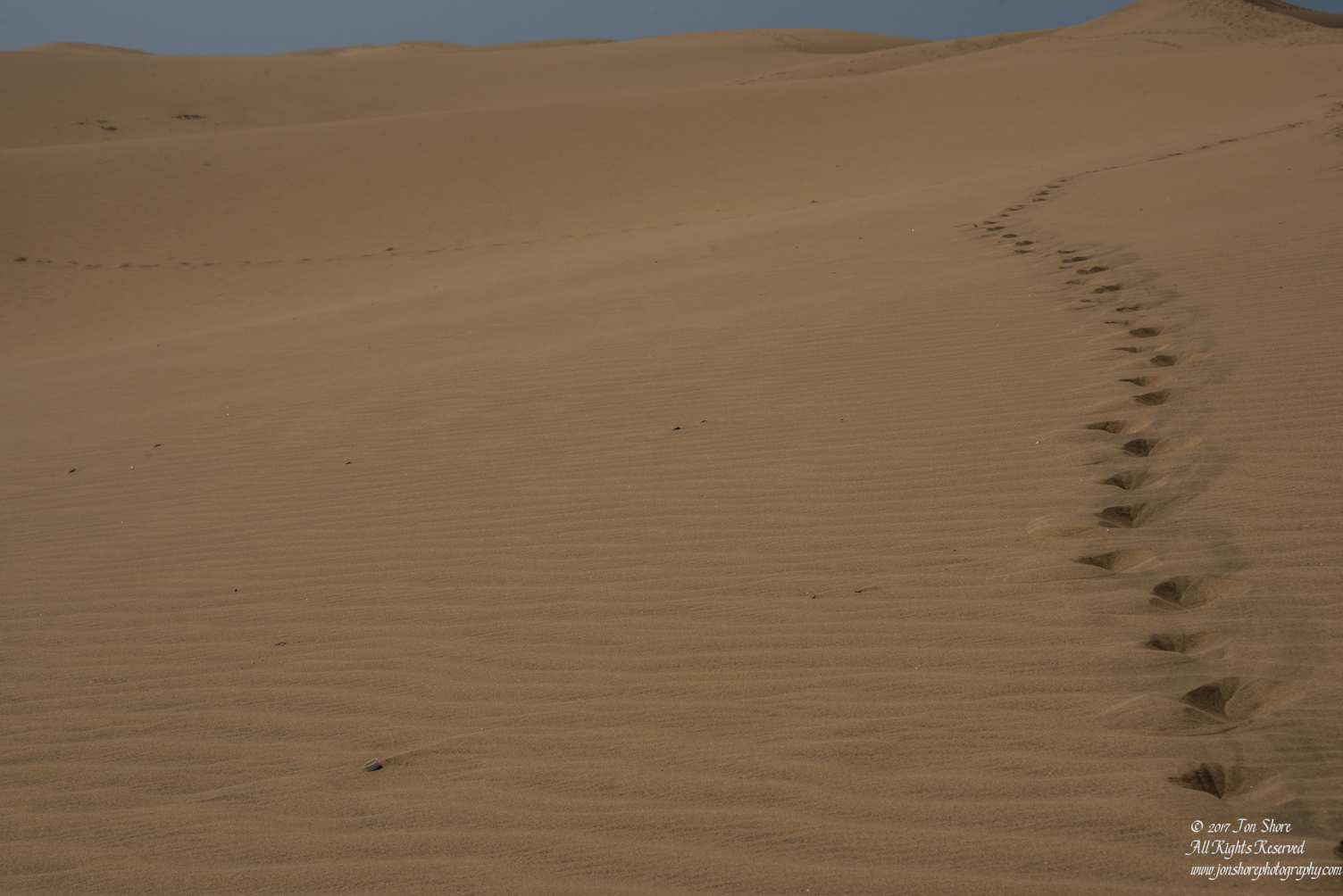 Desert at Maspalomas, Gran Canaria. Nikkor 100mm