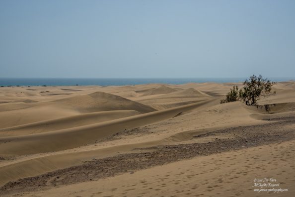 Desert at Maspalomas, Gran Canaria. Nikkor 300mm