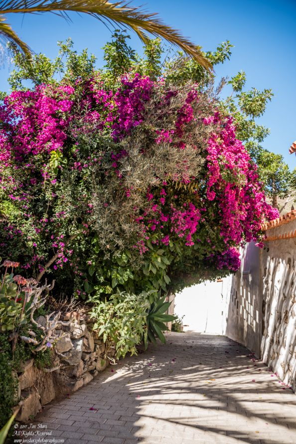 Fataga, Gran Canaria, Spain. Nikkor 50mm