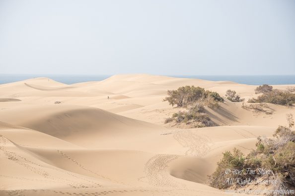 Desert at Maspalomas, Gran Canaria. Nikkor 300mm