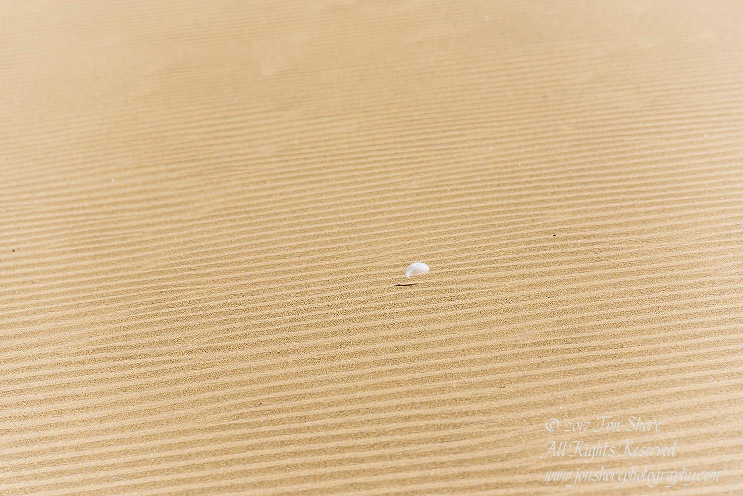 Desert at Maspalomas, Gran Canaria. Nikkor 300mm