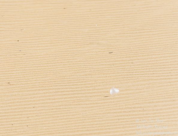 Feather on Desert at Maspalomas, Gran Canaria. Nikkor 300mm