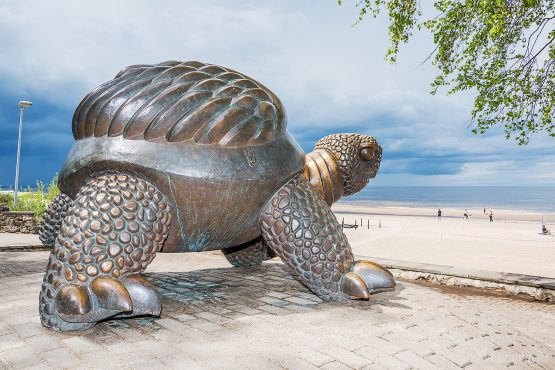 Turtle in Jurmala Latvia. Nikkor 28mm