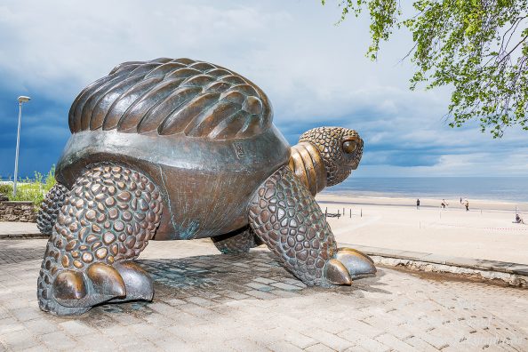 Turtle in Jurmala Latvia. Nikkor 28mm