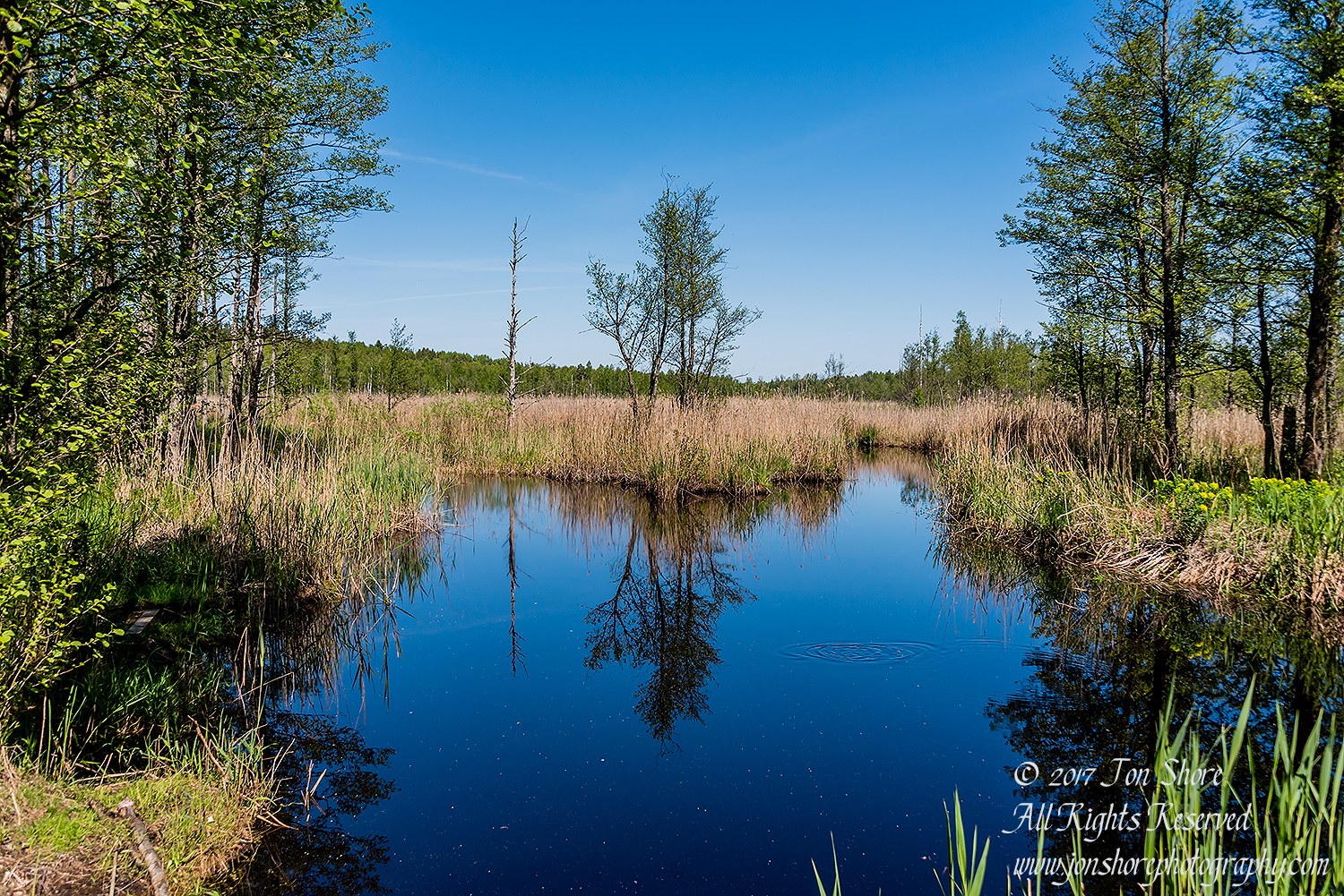 Kemeri National Park Latvia Spring Nikkor 50mm