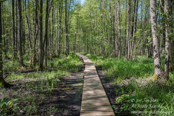 Kemeri National Park Latvia Spring Nikkor 50mm