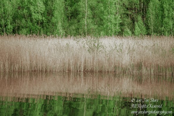 Kemeri National Park Latvia Spring Nikkor 50mm