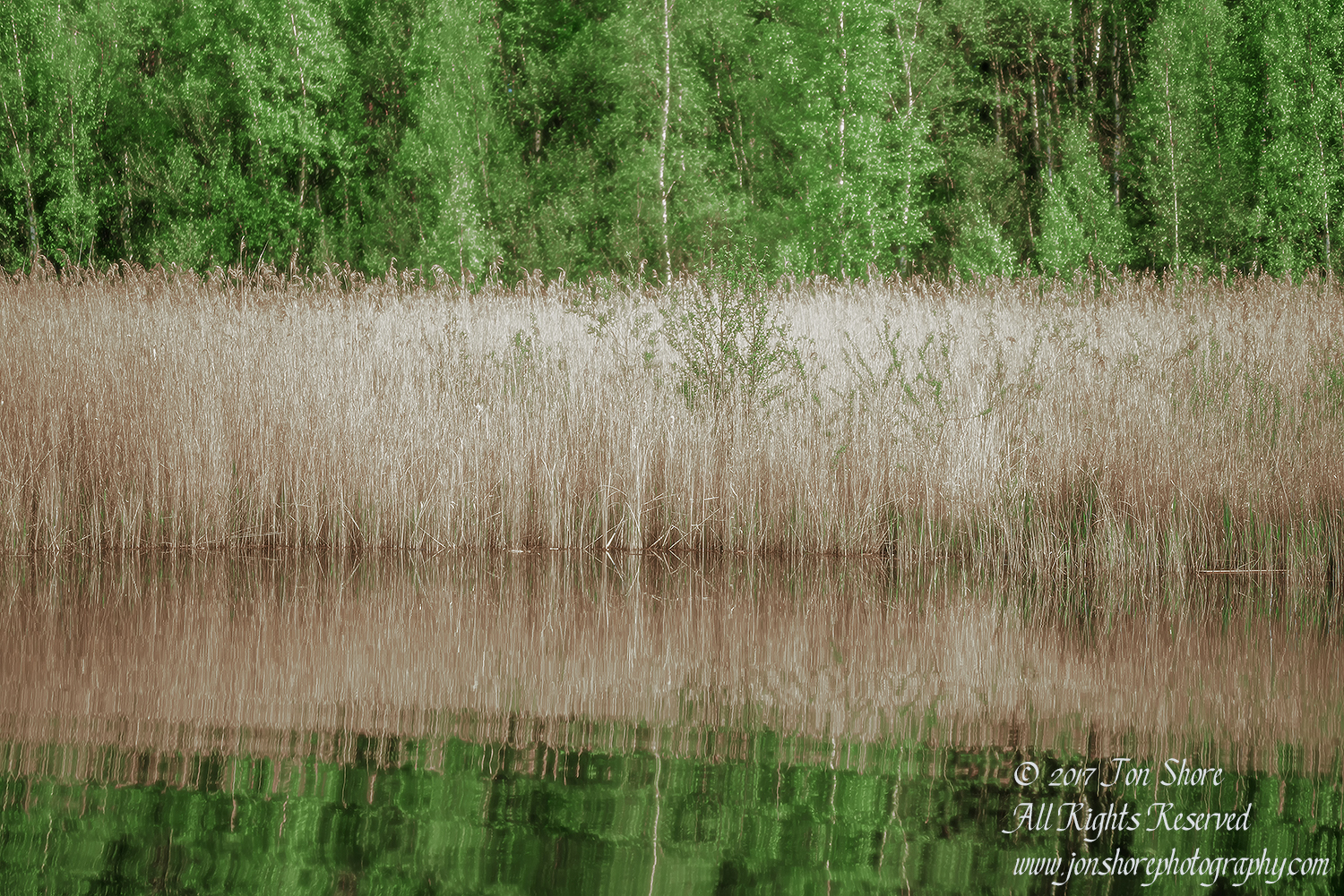 Kemeri National Park Latvia Spring Nikkor 50mm