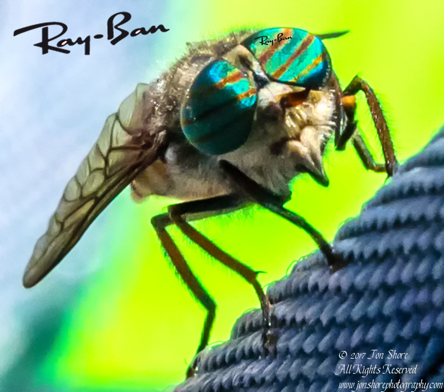 Ray Ban Horse Fly. Nikkor 200mm