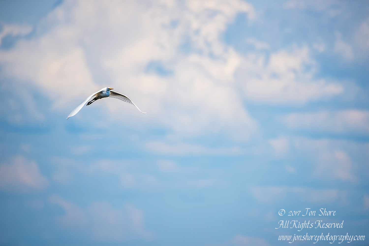 Egret in Clouds Jurmala Latvia July 2017