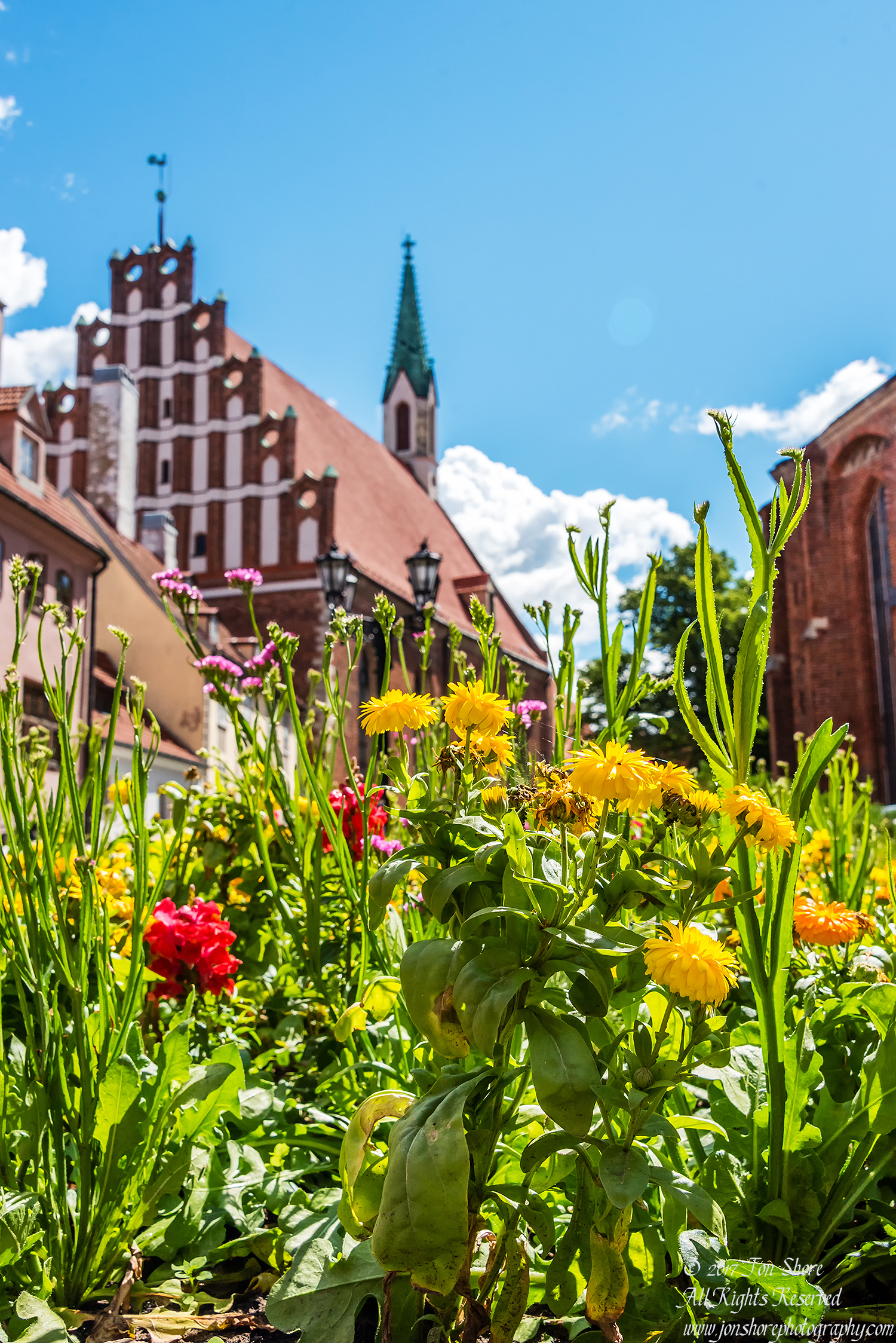 Flowers and Church Riga Latvia