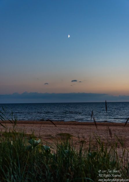 Sunset moon Tuja Latvia