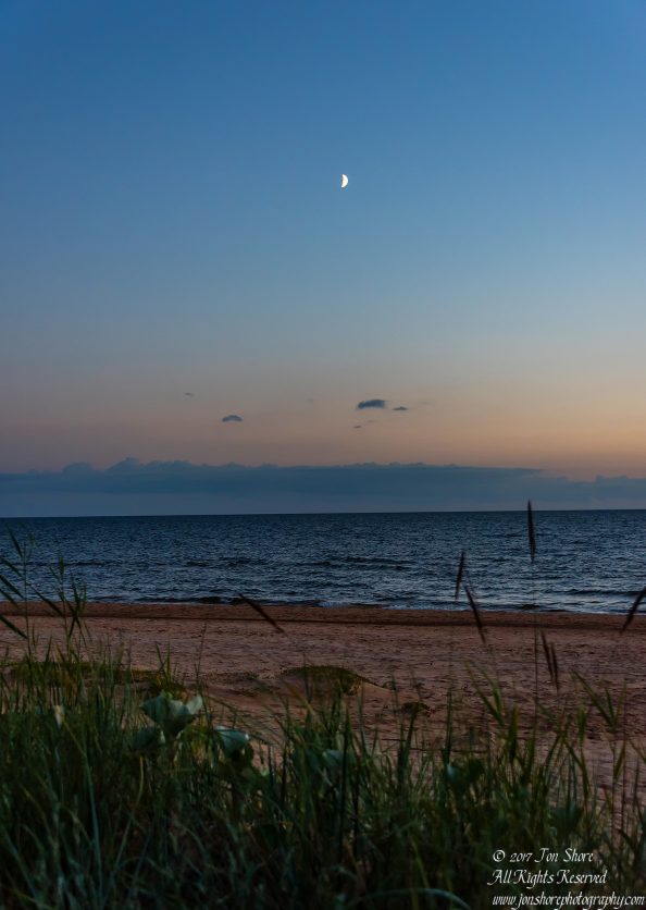 Sunset moon Tuja Latvia