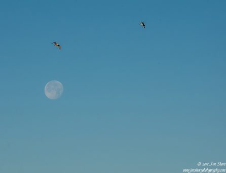 Super Moon Cilento Italy December 2017