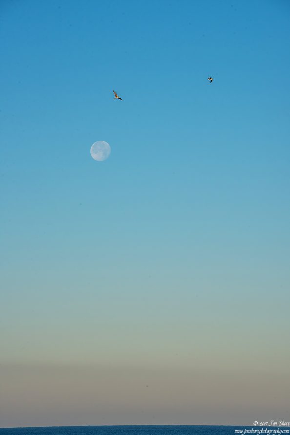 Super Moon Cilento Italy December 2017