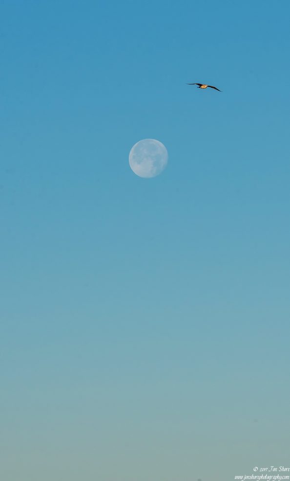 Super Moon Cilento Italy December 2017