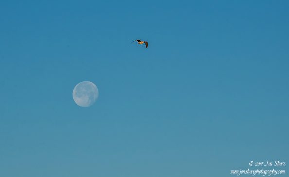 Super Moon Cilento Italy December 2017