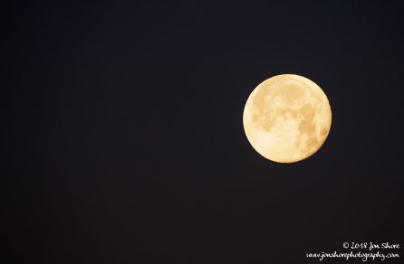 Full Moon Over San Marco di Castellabate Italy