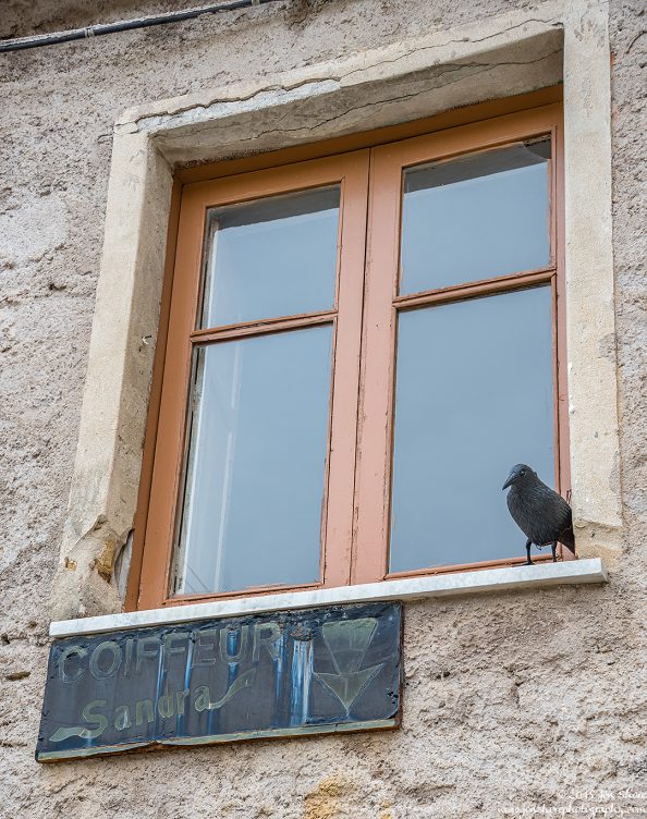 Ortodonico Cilento Italy January 2018