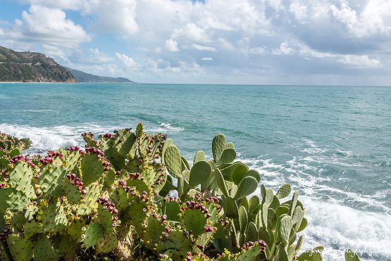 San Marco di Castellabate Cilento Italy