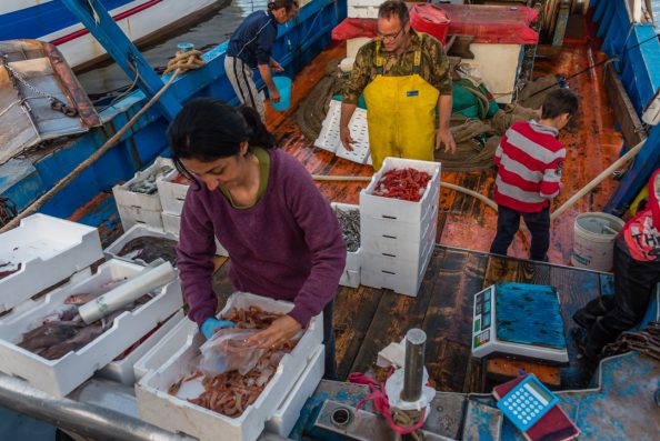 Fish San Marco Spring Italy