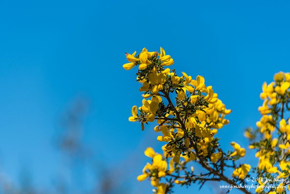 Spring Santa Maria di Castellabate Italy