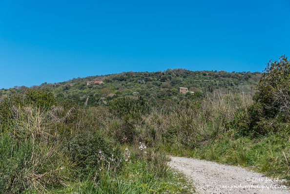 Spring Santa Maria di Castellabate Italy