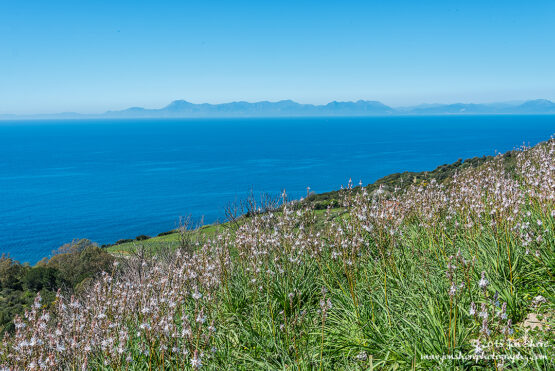 Spring Santa Maria di Castellabate Italy